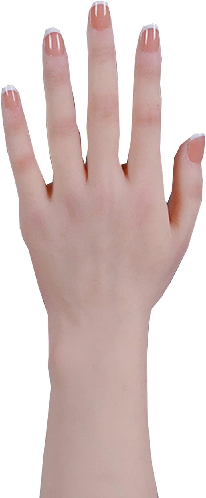 ハンドモデル 手模型 シリコン 女性 柔らかい デッサン模型 左手、骨なし