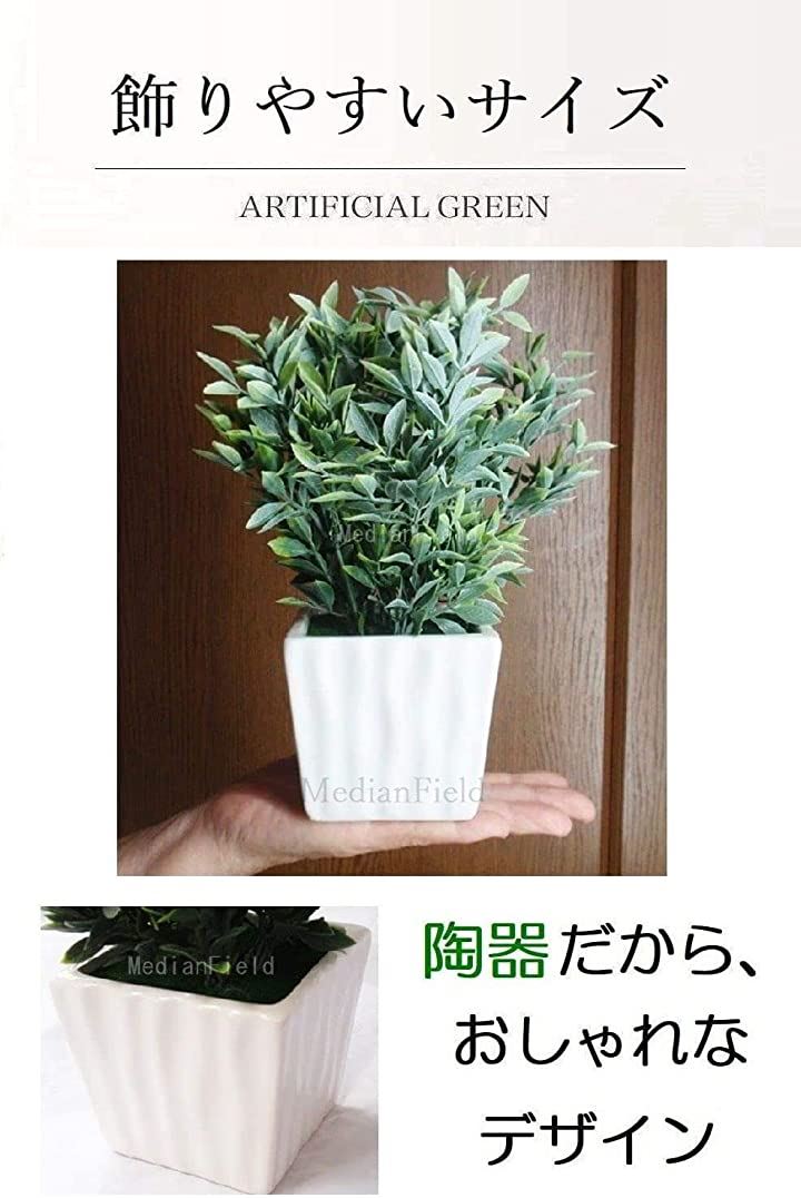 光触媒 人工観葉植物 抗菌消臭 ウォールグリーン 壁掛け3030 