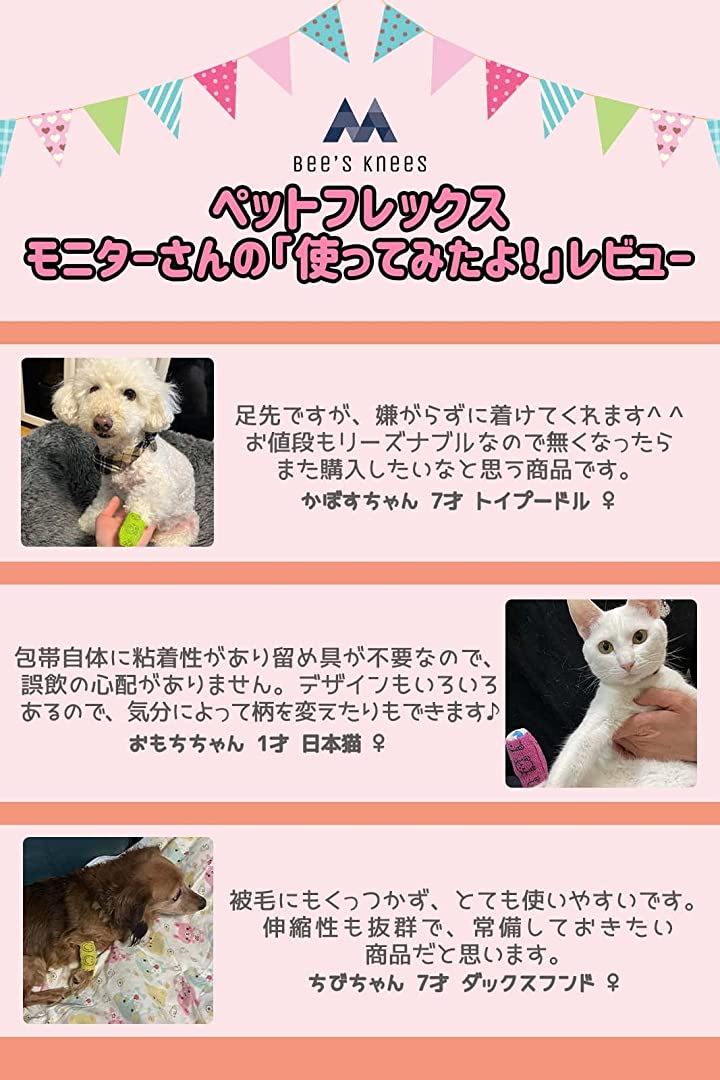 現役の獣医師監修 ペットフレックス 粘着包帯 伸縮包帯 犬 猫 バンテージ くっつく包帯