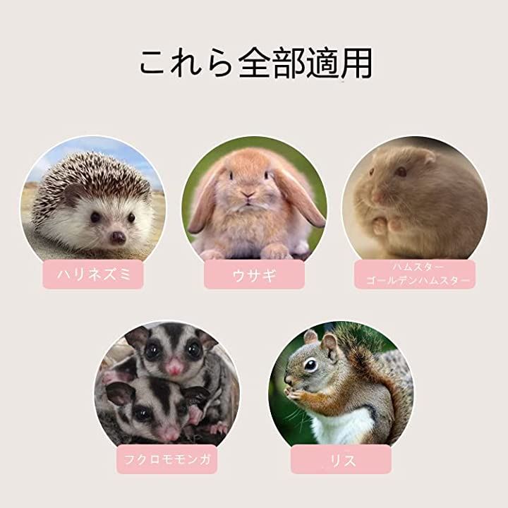 ペットハウス 小動物 おでかけ キャリーケース キャリーケージ プチ 