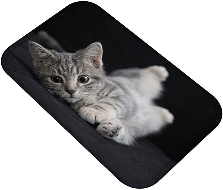 ねこタウン 猫ちゃんバスマット リアル 写真 癒し フランネル素材 フロアマット( 40cmx60cm タイプA)