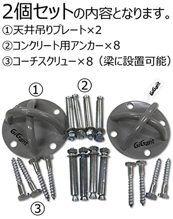 ギグアント エアリアルヨガ ハンモック 専用 吊り金具セット 空中ヨガ