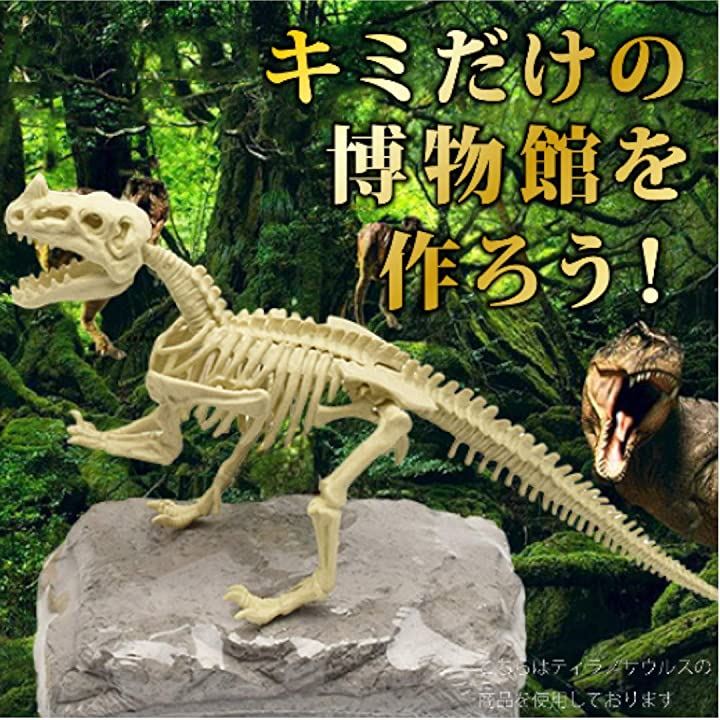 恐竜トリケラトプス 草食恐竜 化石 発掘 骨格組立キット
