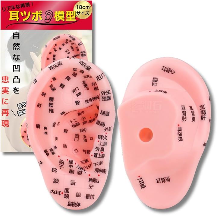 耳つぼ組み合わせ事典（全36種類の体の不調を改善）ラミネート