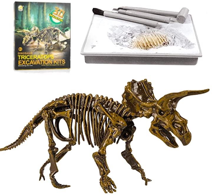 恐竜化石発掘 おもちゃ 発掘キット 恐竜の骨 Triceratops