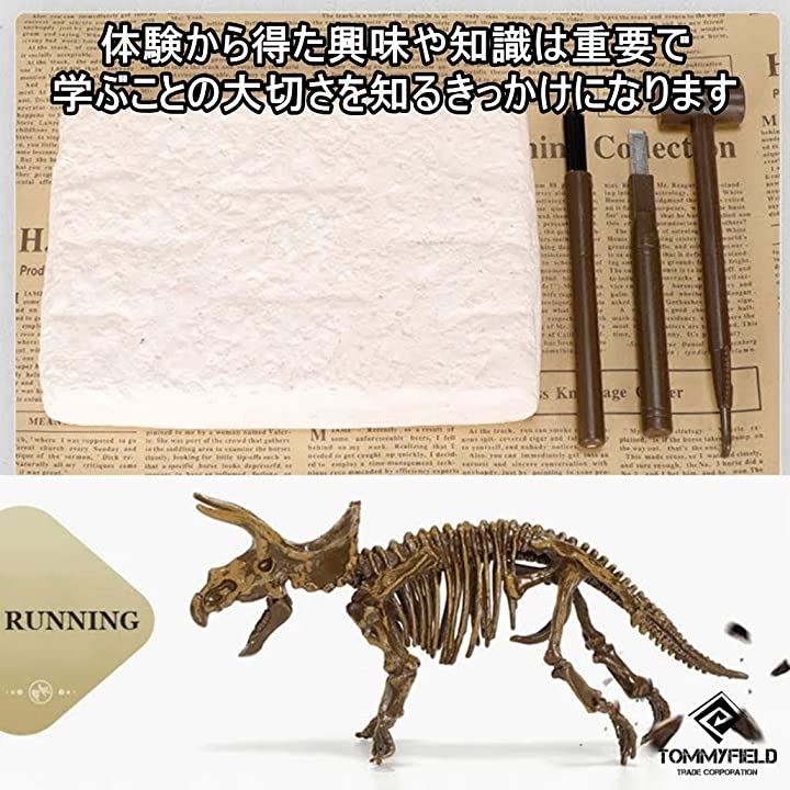 恐竜 発掘 化石 骨 おもちゃ プレゼント 子供 キット ティラノサウルス クイックスピード ヤマダモール店